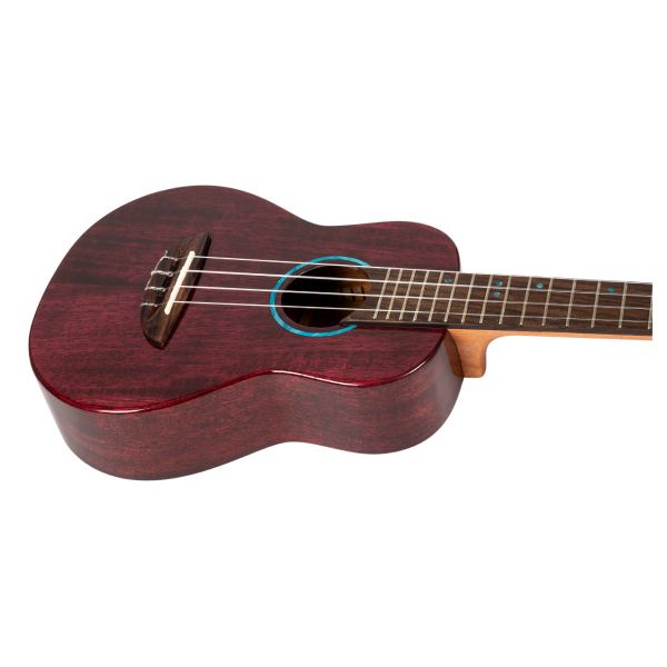 Flight Iris Tinta Concert TPP