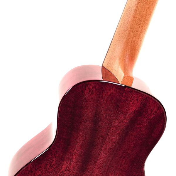 Flight Iris Tinta Concert TPP