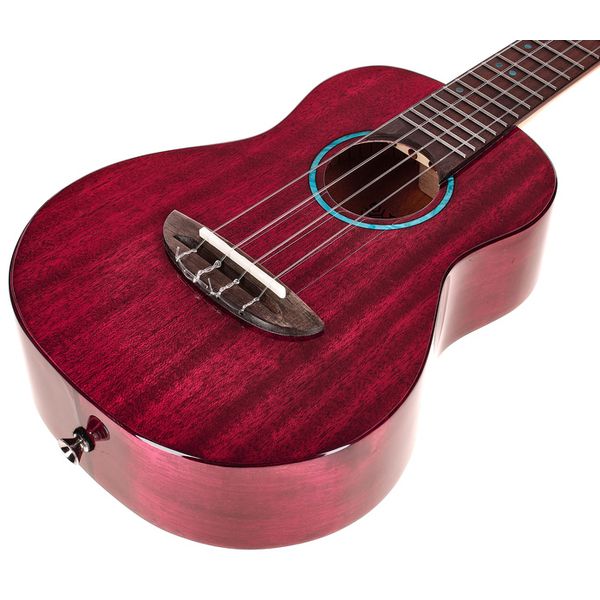 Flight Iris Tinta Concert TPP