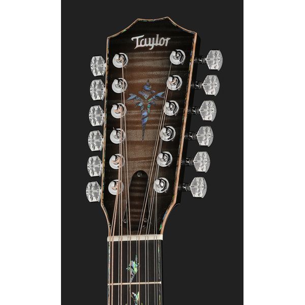 Taylor C54ce B6024 Custom