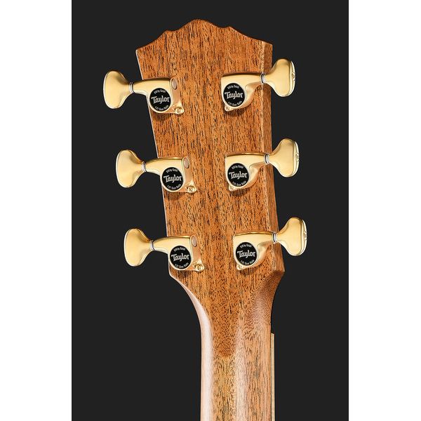Taylor C24ce C0786 Custom