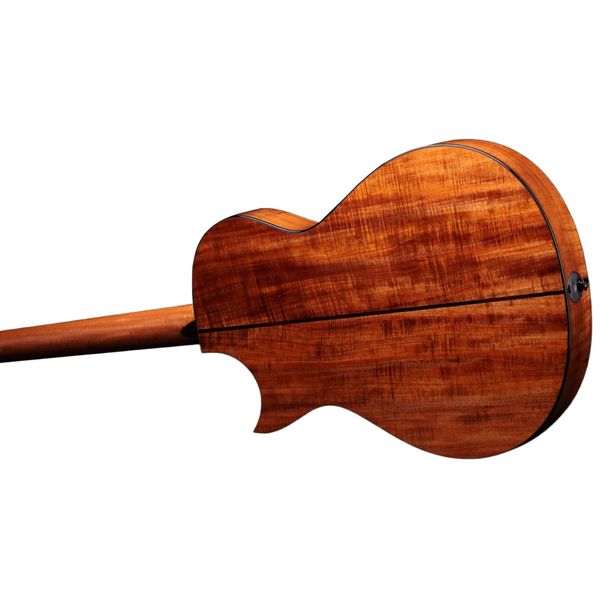 Taylor C22ce B6041 Custom #41