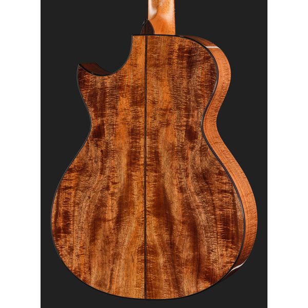 Taylor C22ce B6041 Custom #41