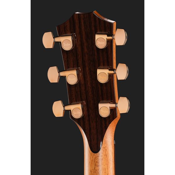 Taylor C22ce B6041 Custom #41