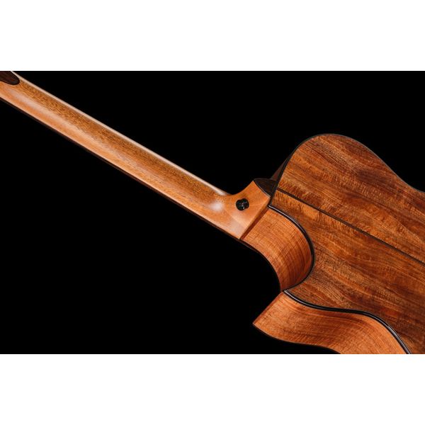 Taylor C22ce B6041 Custom #41