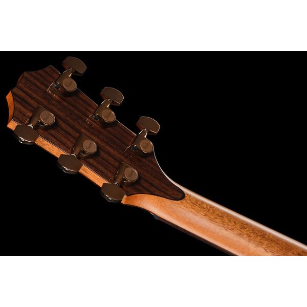 Taylor C22ce B6041 Custom #41