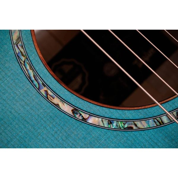 Taylor C14ce B6023 Custom #23