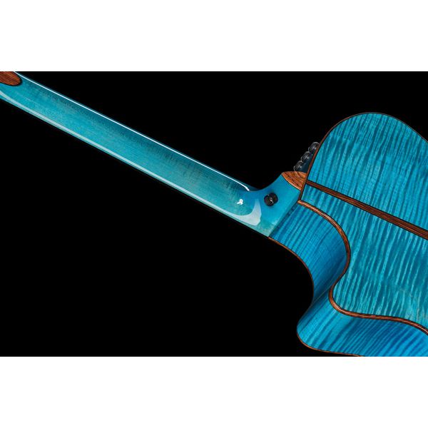 Taylor C14ce B6023 Custom #23