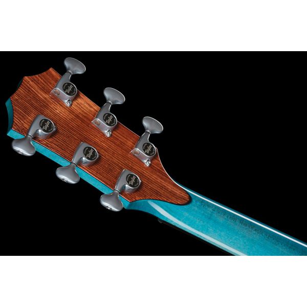 Taylor C14ce B6023 Custom #23