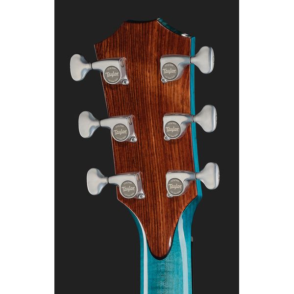 Taylor C14ce B6023 Custom #23