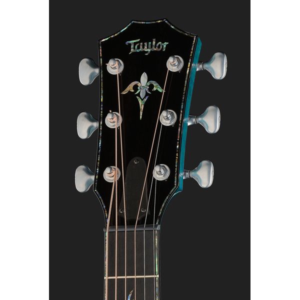 Taylor C14ce B6023 Custom #23