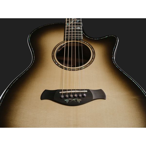 Taylor C14ce B6008 Custom #8