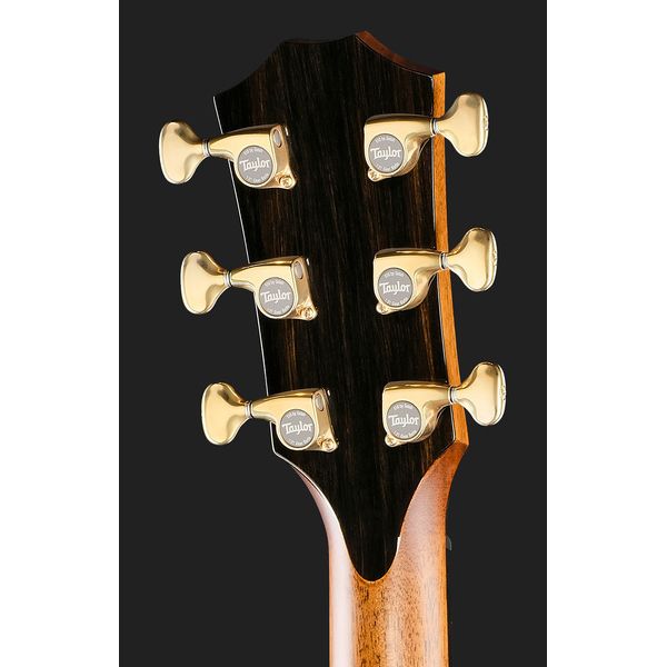 Taylor C14ce B6008 Custom #8