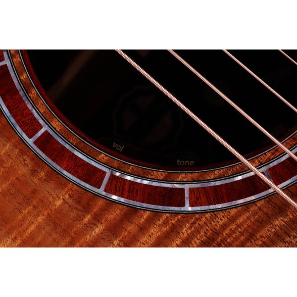 Taylor C25ce B6005 Custom #5