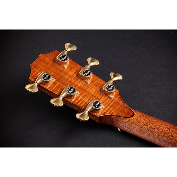 Taylor C25ce B6005 Custom #5