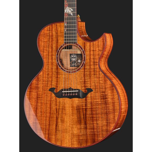 Taylor C25ce B6005 Custom #5