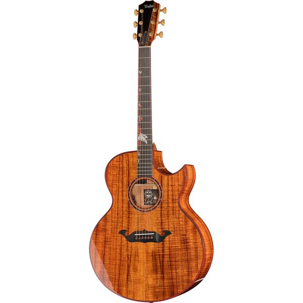 Taylor C25ce B6005 Custom #5
