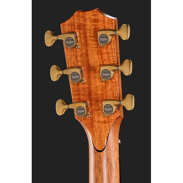 Taylor C25ce B6005 Custom #5