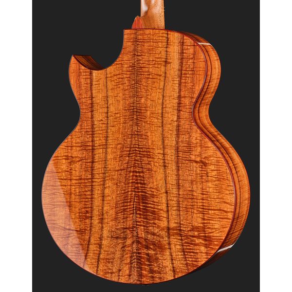 Taylor C25ce B6005 Custom #5