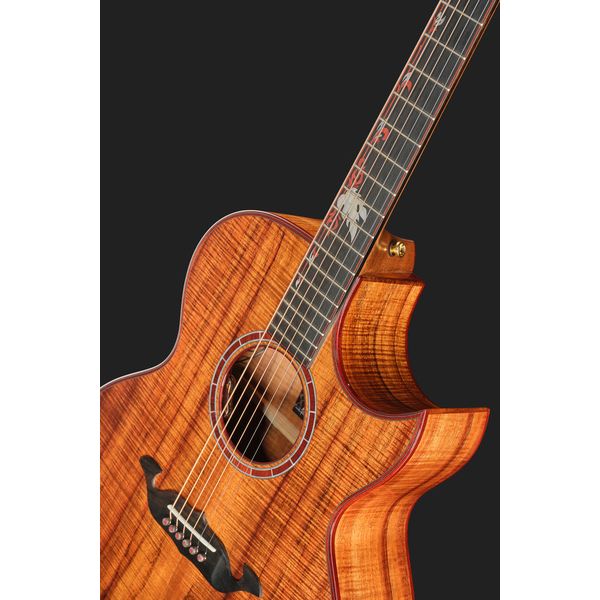 Taylor C25ce B6005 Custom #5