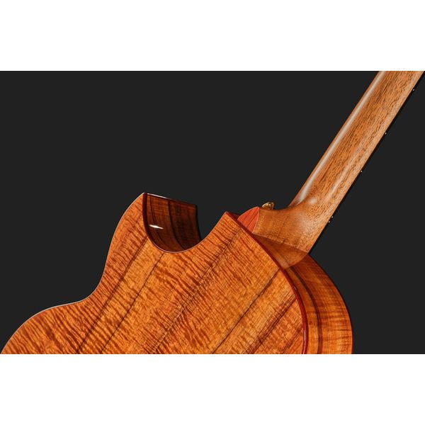 Taylor C25ce B6005 Custom #5