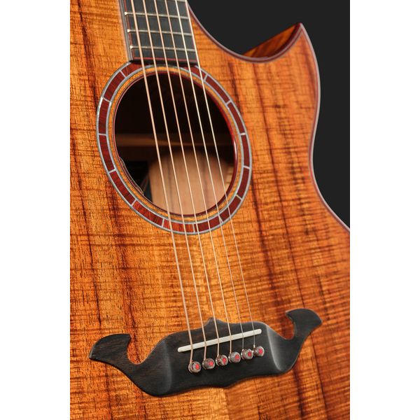 Taylor C25ce B6005 Custom #5