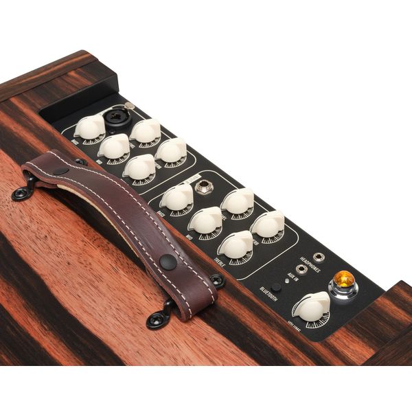 Taylor Amp Circa 74 AV150-10 Macass