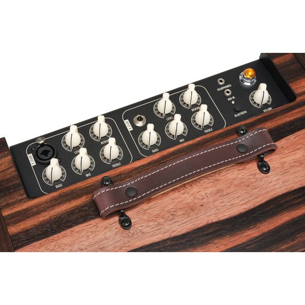 Taylor Amp Circa 74 AV150-10 Macass