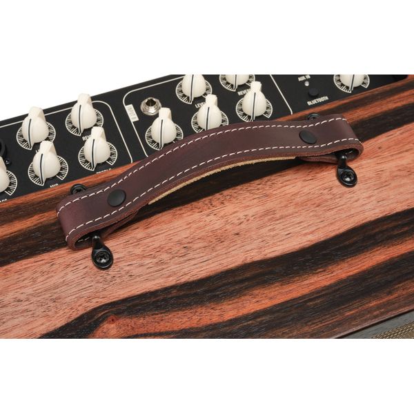 Taylor Amp Circa 74 AV150-10 Macass