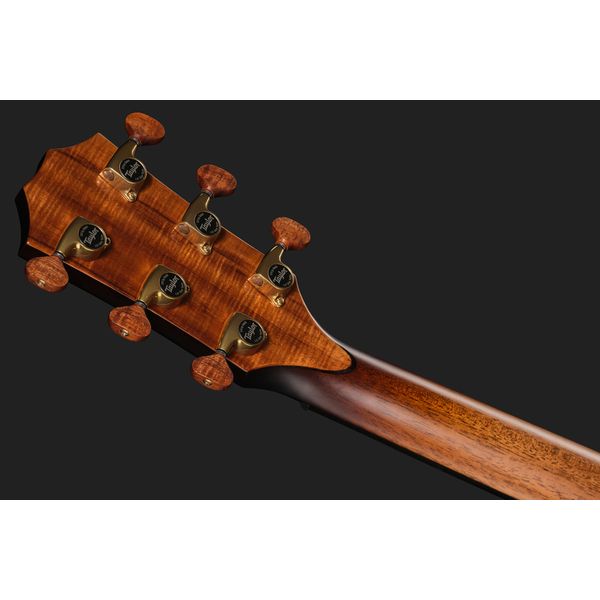 Taylor C24ce B6002 Custom #2