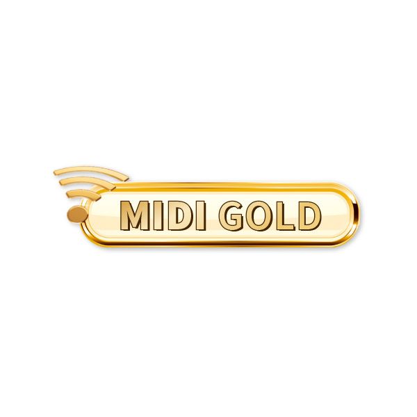 STmusic MIDI Accordion Gold