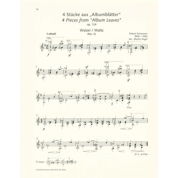 Schott Schumann for Guitar