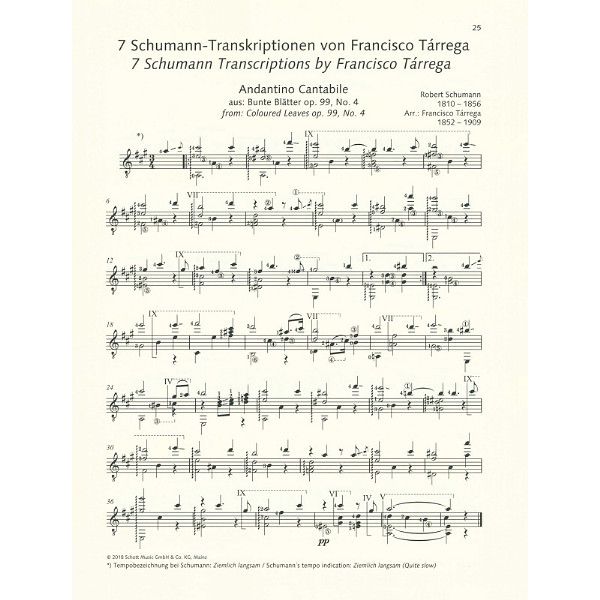 Schott Schumann for Guitar