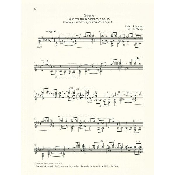 Schott Schumann for Guitar