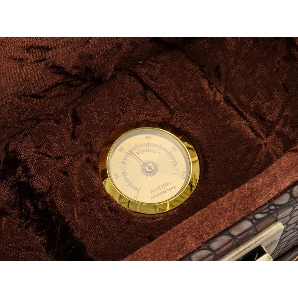 Ortega OCCPRO-T Thinline Case