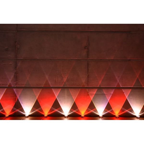 Ape Labs ApeCoin V2 USB-C