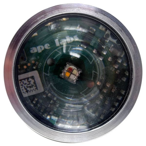 Ape Labs ApeCoin V2 USB-C