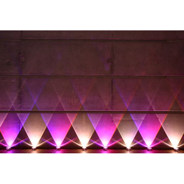 Ape Labs ApeCoin V2 USB-C