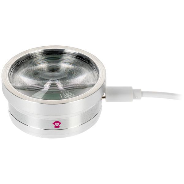 Ape Labs ApeCoin V2 USB-C