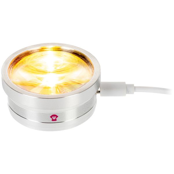 Ape Labs ApeCoin V2 USB-C