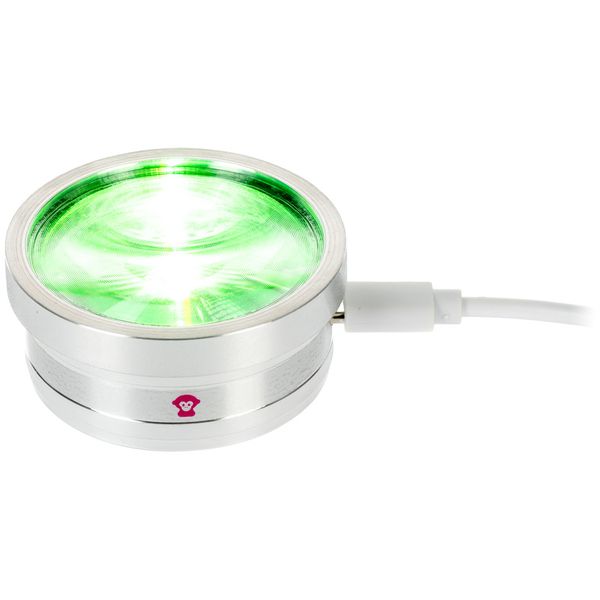 Ape Labs ApeCoin V2 USB-C