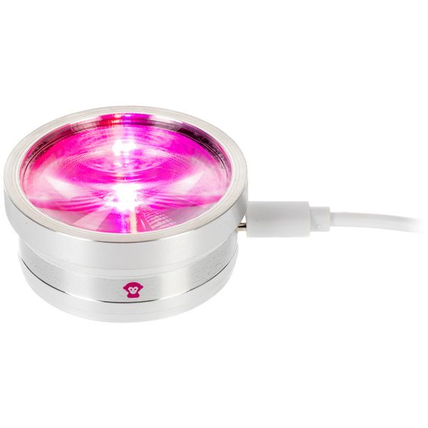 Ape Labs ApeCoin V2 USB-C