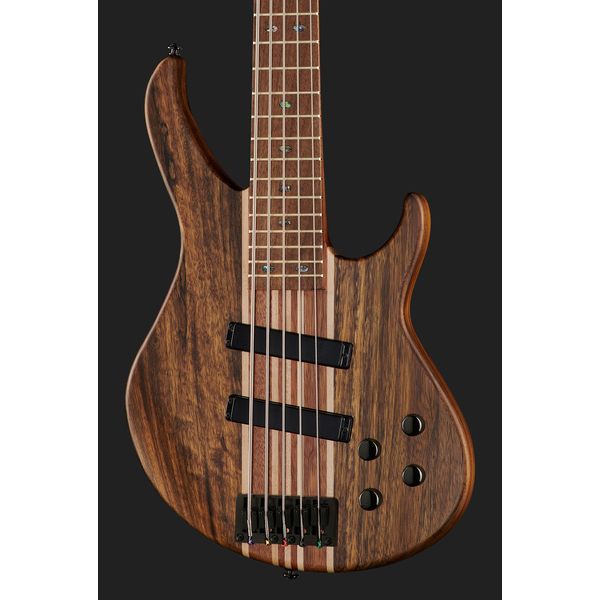 Harley Benton HBZ-2005 Deluxe w/Warwick