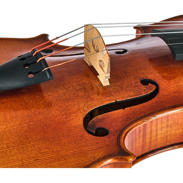 Karl Höfner H216 AS Violin 4/4