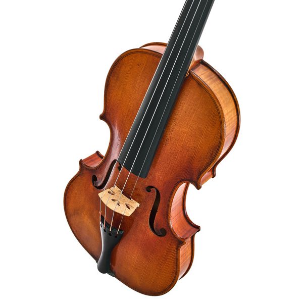 Karl Höfner H216 AS Violin 4/4