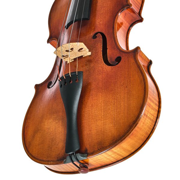 Karl Höfner H216 AS Violin 4/4