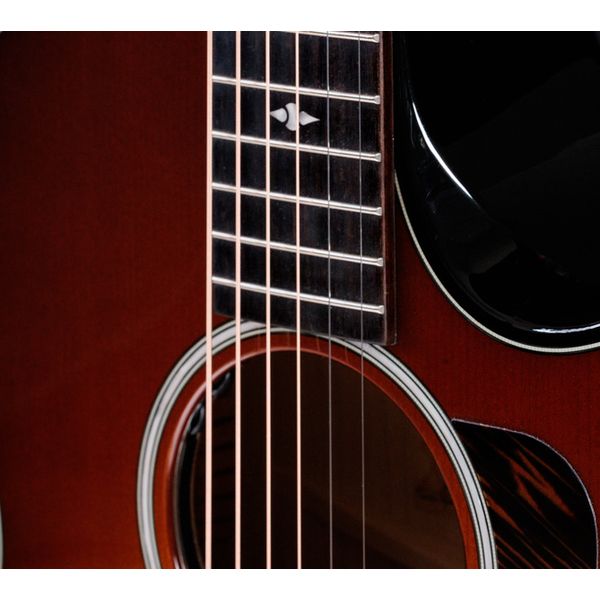 Taylor Builders Edition 514ce Kona NG