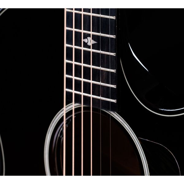 Taylor Builders Edition 524ce NG