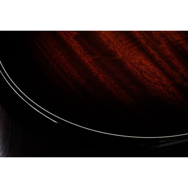 Taylor Builders Edition 524ce NG