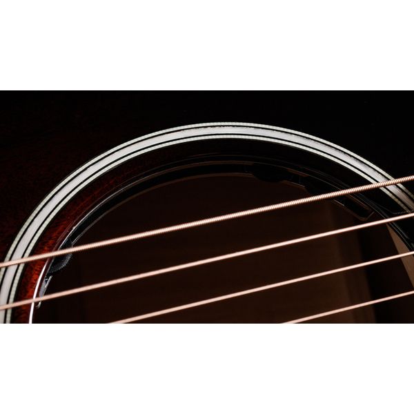 Taylor Builders Edition 524ce NG